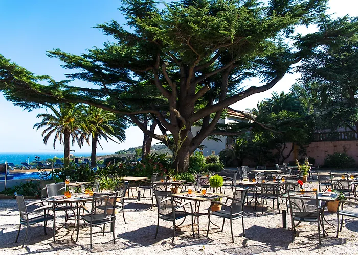 Les Jardins Du Cèdre 3* Port Vendres